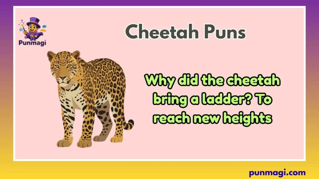 Cheetah Puns