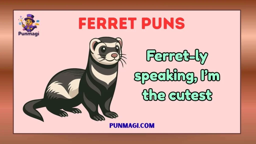 Ferret Puns