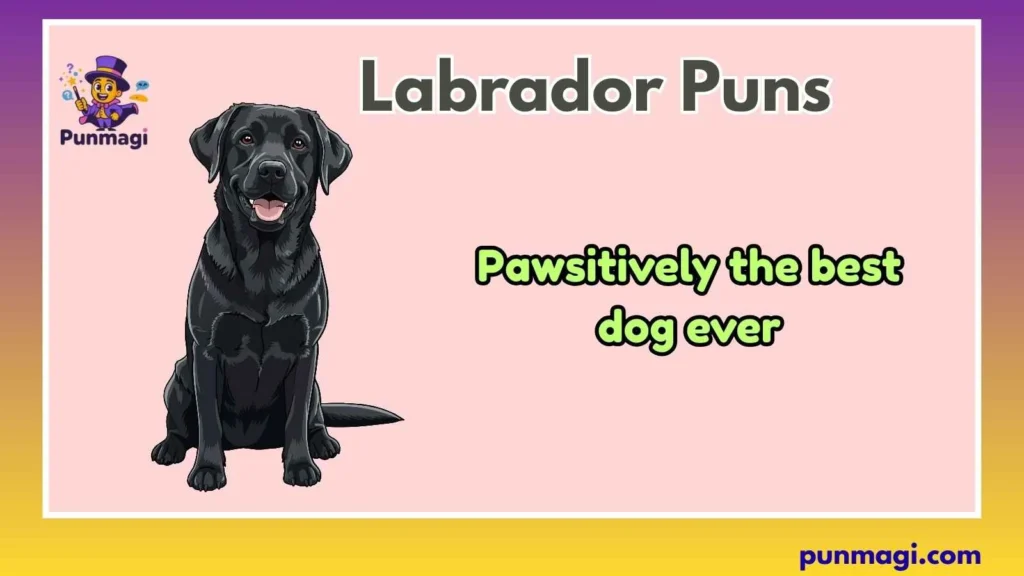 Labrador Puns