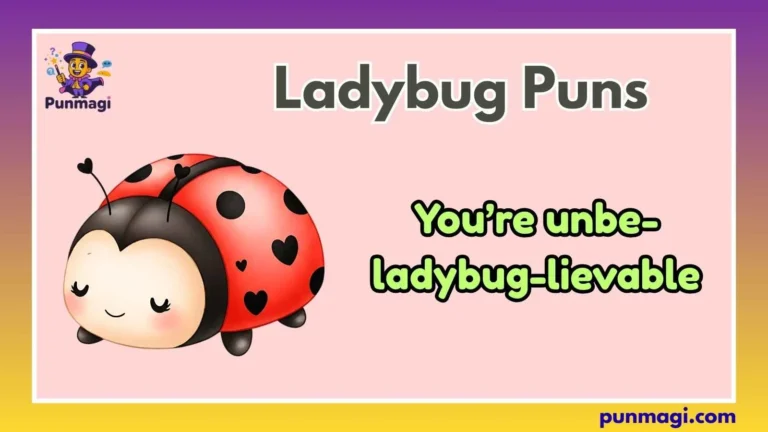 Ladybug Puns