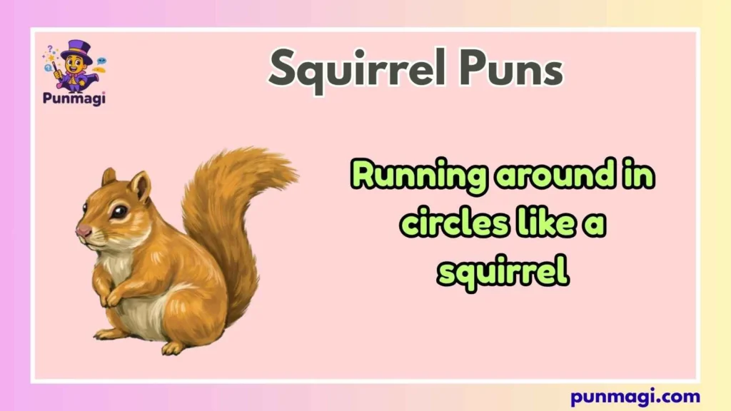 Squirrel Puns