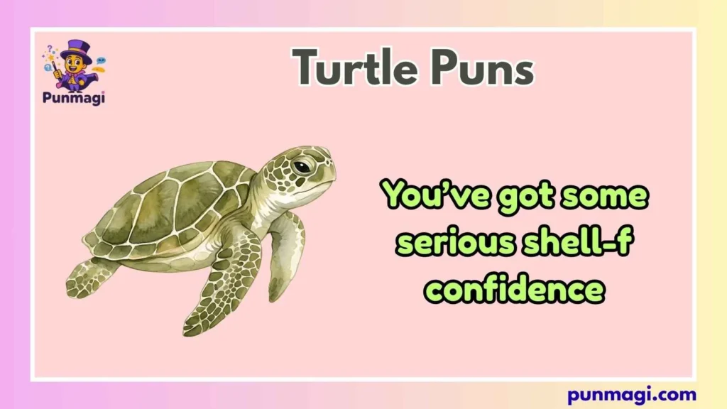 Turtle Puns