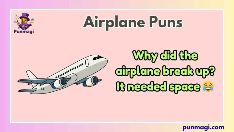 Airplane Puns