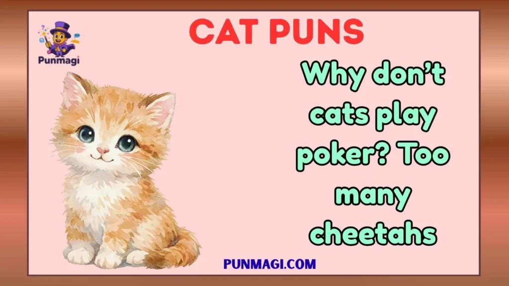Cat Puns