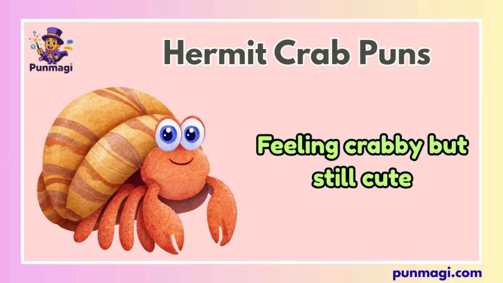 Hermit Crab Puns