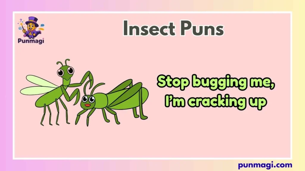 Insect Puns