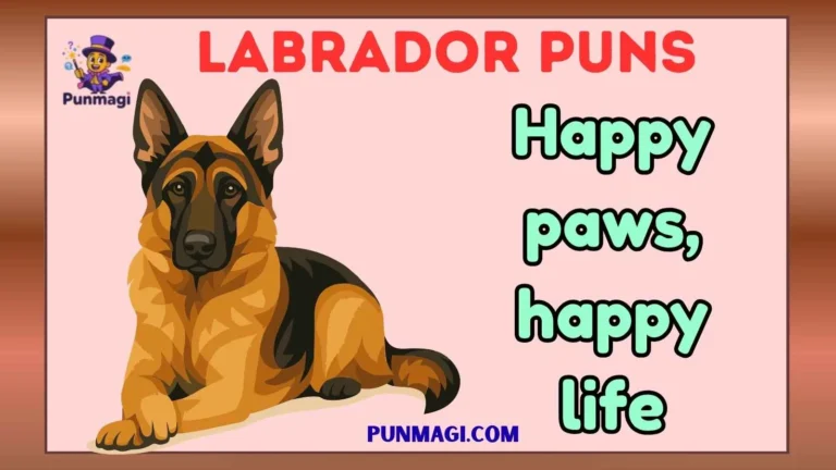 Labrador Puns