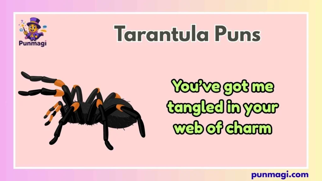 Tarantula Puns