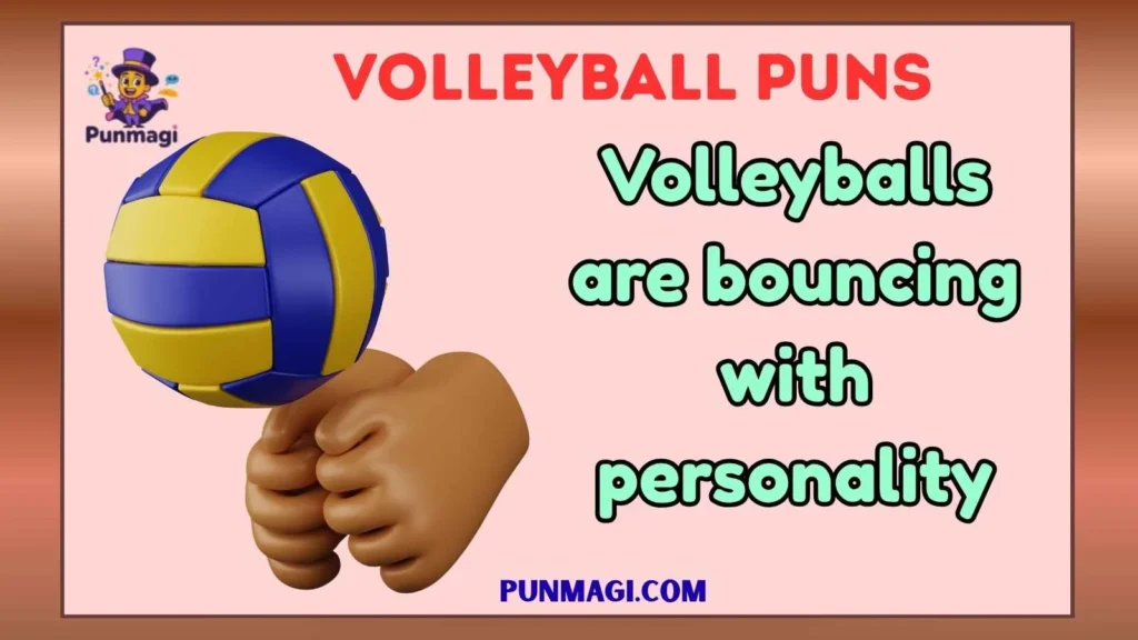 Volleyball Puns
